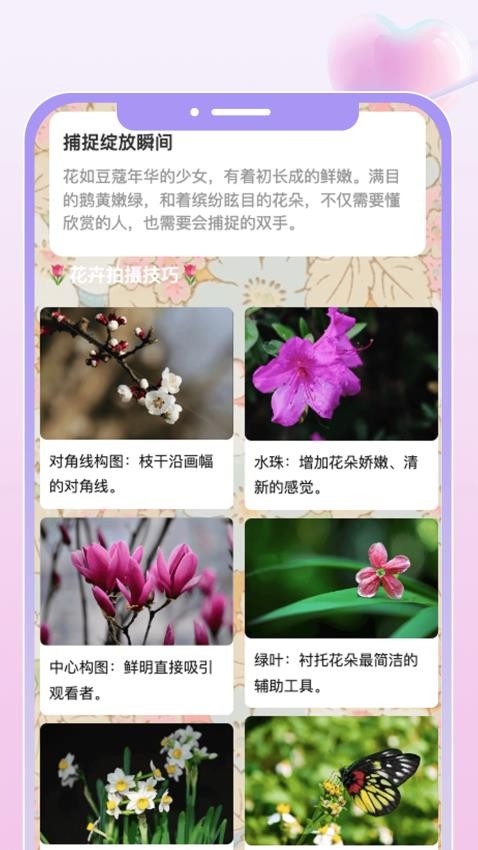 花汇趣看官方版图3