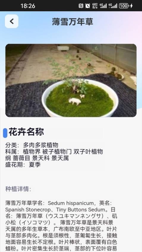 点点花园app免费版图1