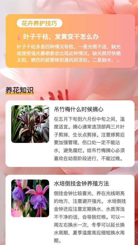 花蕊看看APP图2