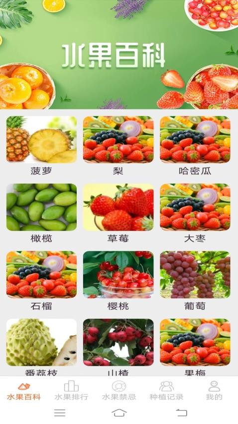 果果多点官网版图3
