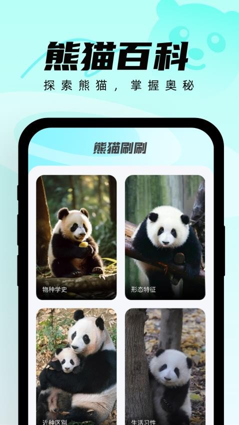 熊猫刷刷APP图4