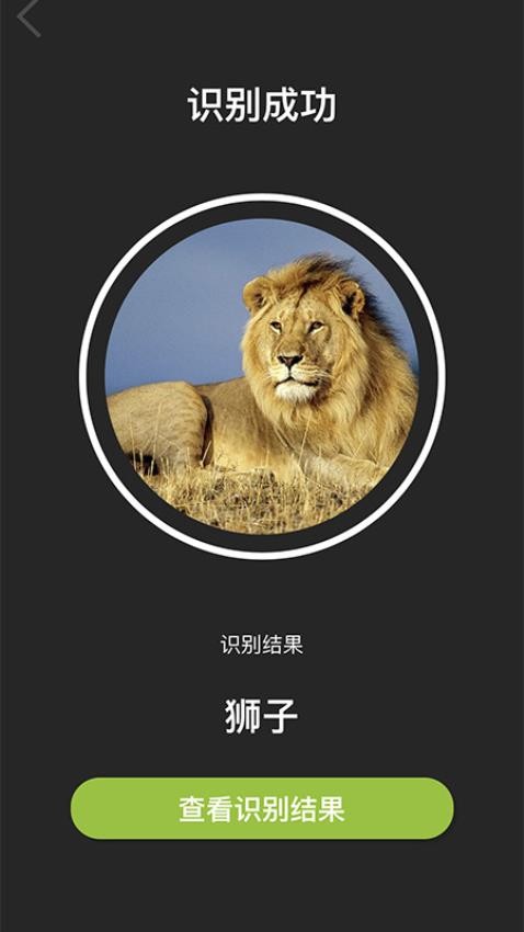 Volnau软件图2
