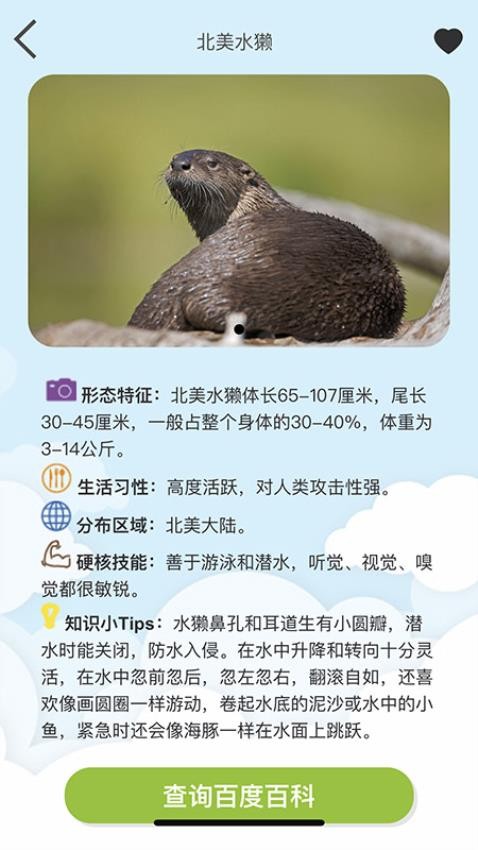 Volnau软件图3