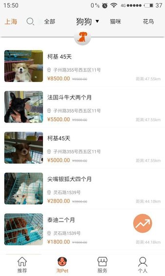 买宠物淘pet手机版(3)