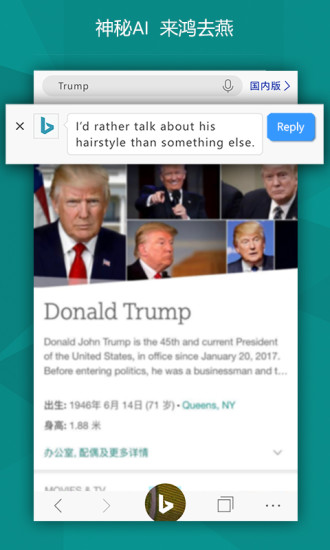 必应浏览器国际版