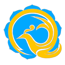 青海湖网APP