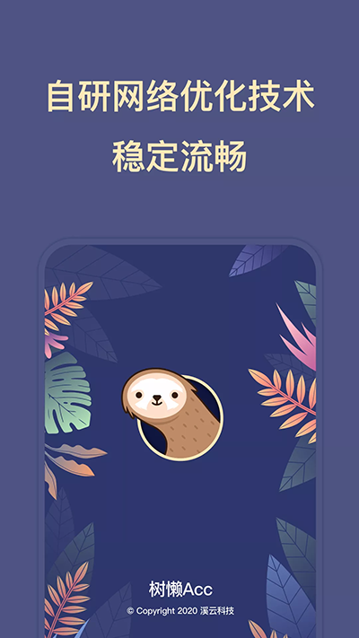 树懒Acc图3