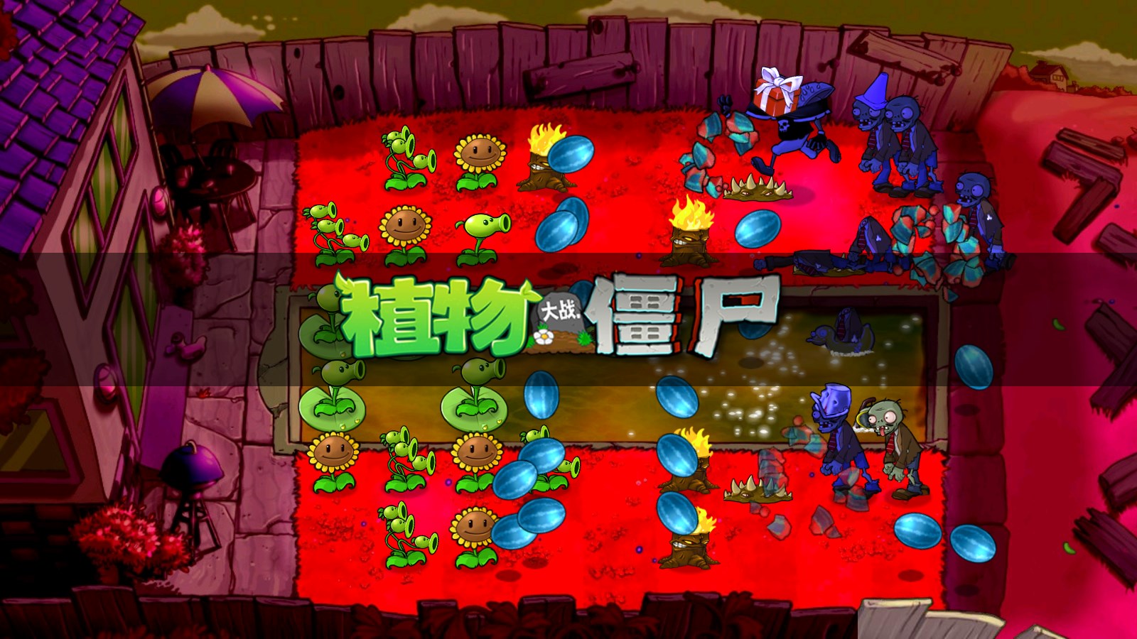 植物大战僵尸骷髅支线版图2