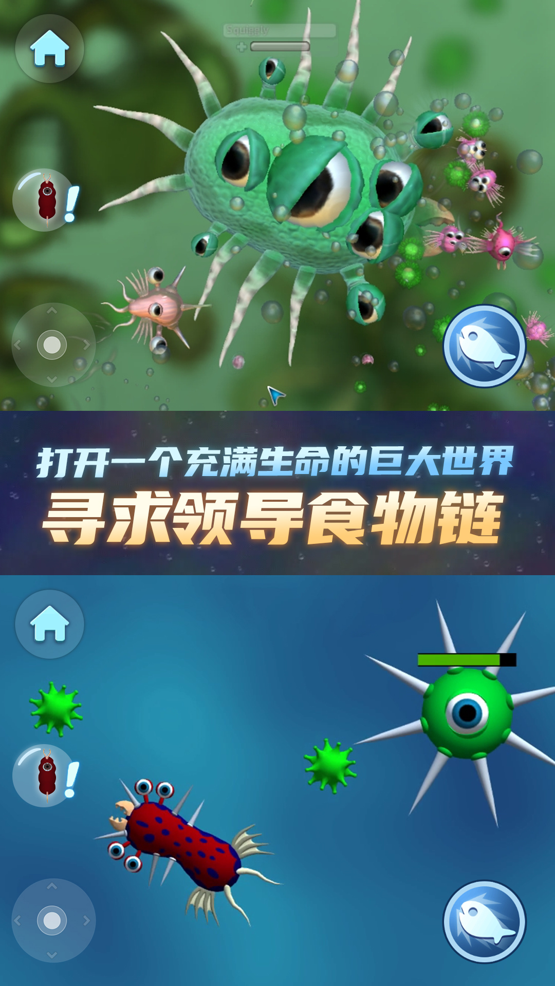 物种进化器(1)