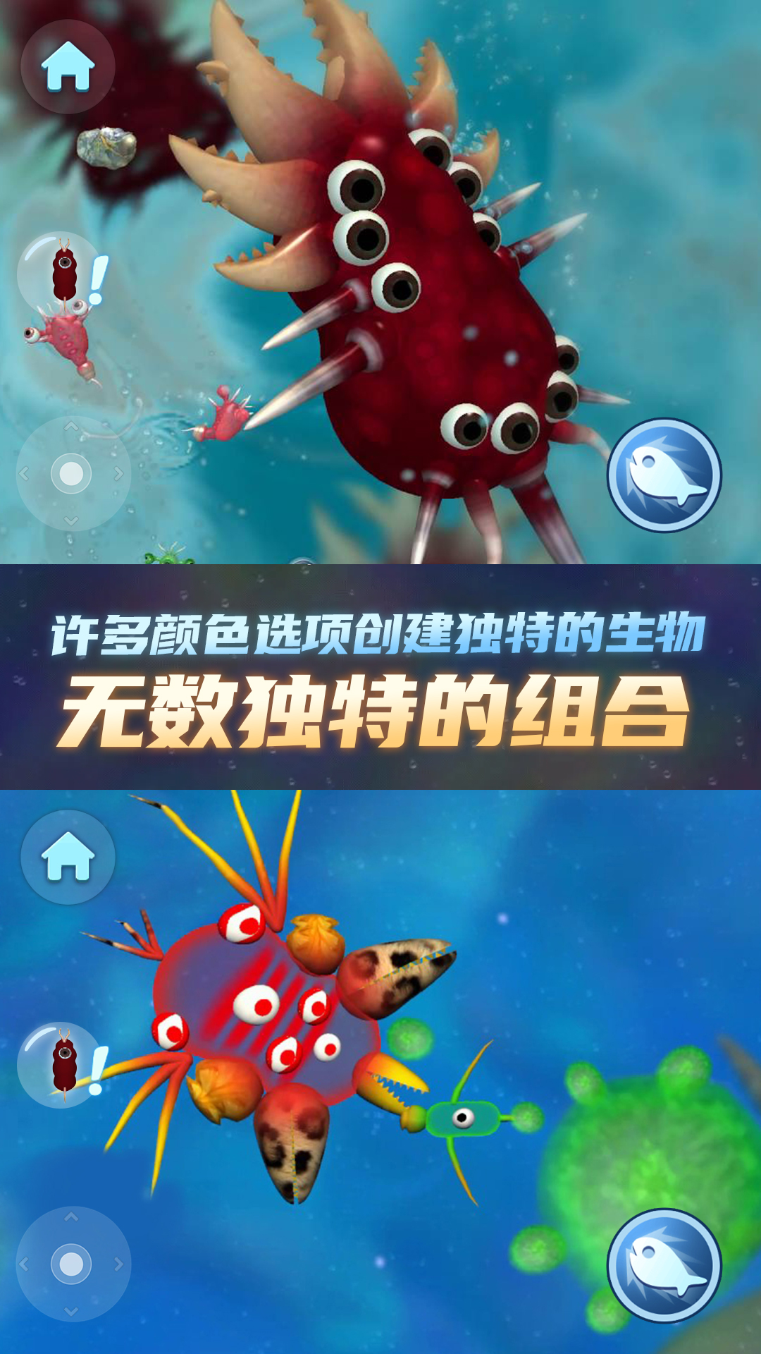 物种进化器(3)