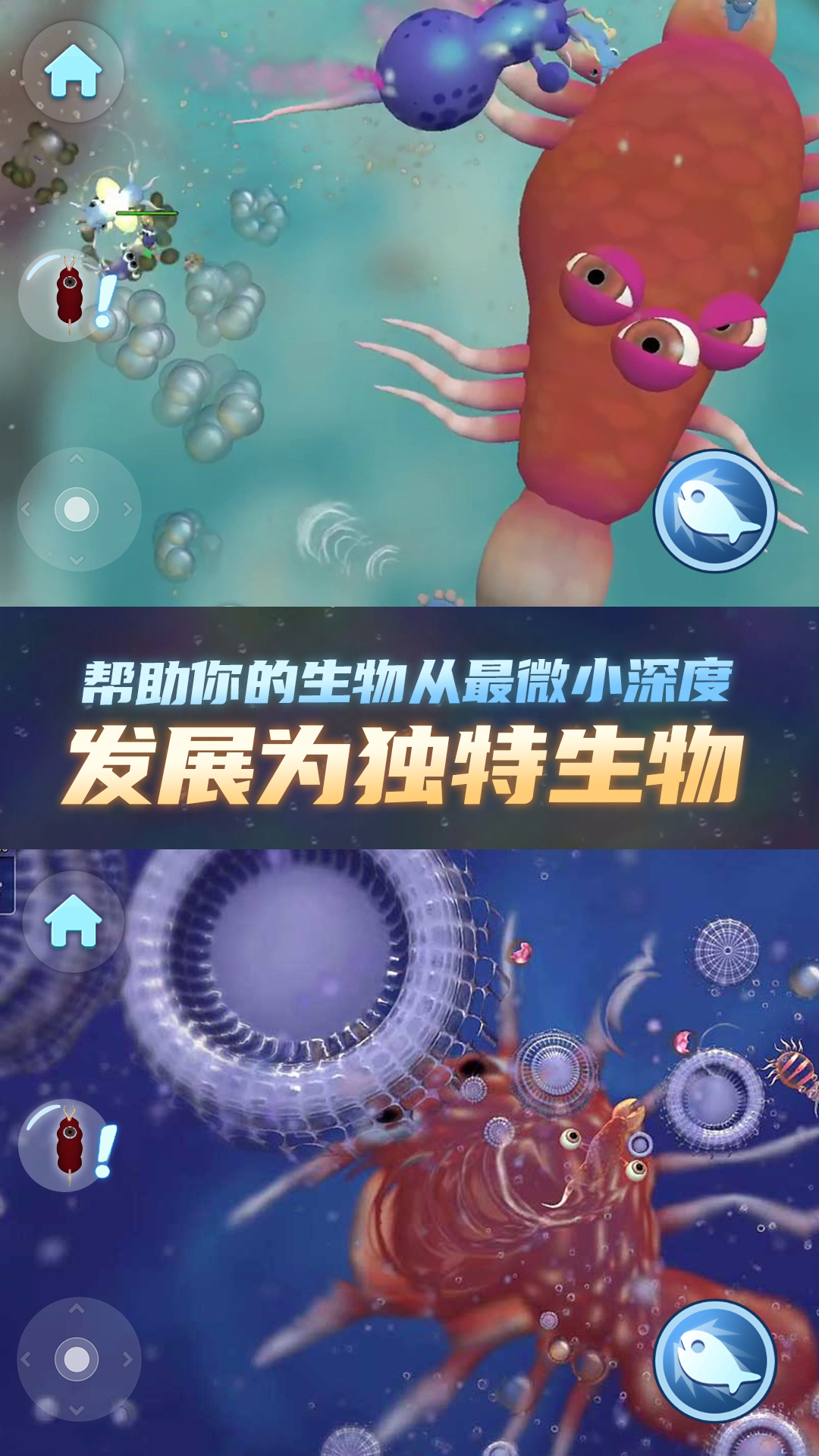 物种进化器(4)