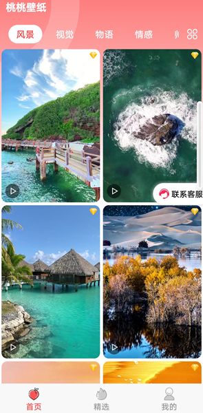 桃桃壁纸图3