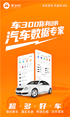 车300二手车图3