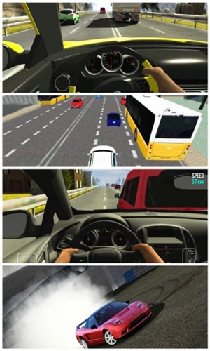 真實(shí)駕駛圖1