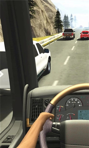 真實(shí)駕駛圖2