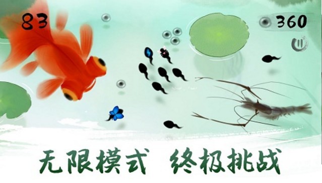 墨虾探蝌(3)