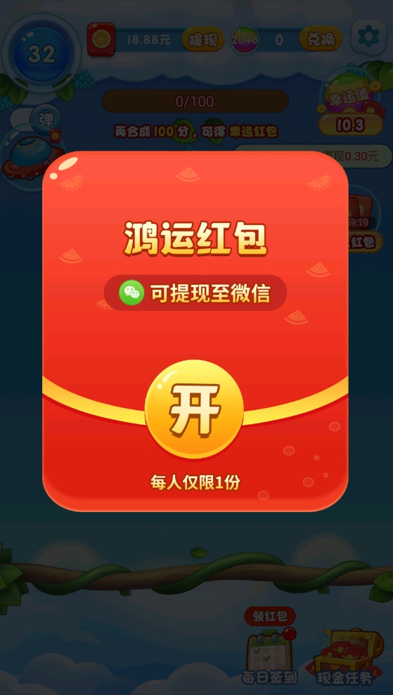 冰爽大西瓜图3