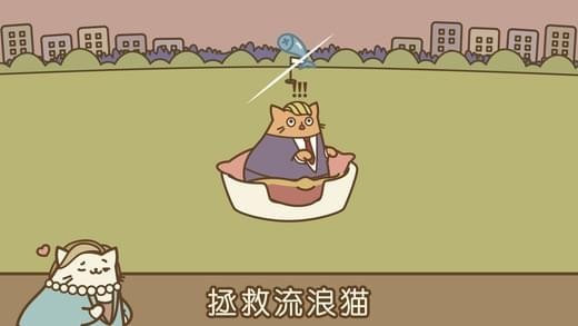 音乐猫咪安卓版图1