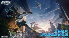 PUBG MOBILE苹果版图4