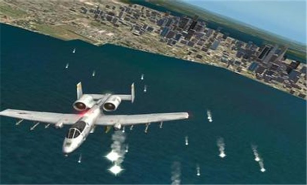 專業(yè)模擬飛行原版圖1