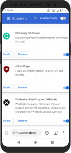 Kiwi浏览器app图3