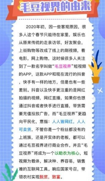 毛豆视频app(2)