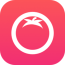 番茄社区app