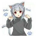 冷狐宝盒app汉化版