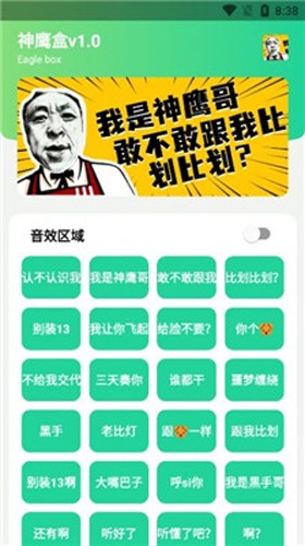 神鹰盒语音包官网版