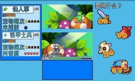 宠物王国5单机版(1)