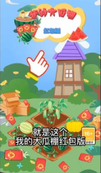 我的大瓜棚(1)