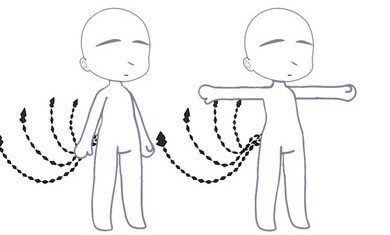 加查薰衣草正版图3
