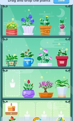 放置植物图2