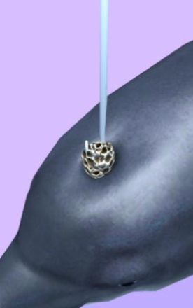 Fish Clinic星空全站手机客户端下载手机版(1)