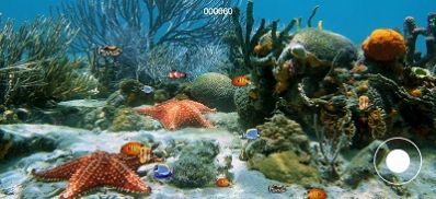 大鱼我不怕你星空全站手机客户端下载手机版(2)