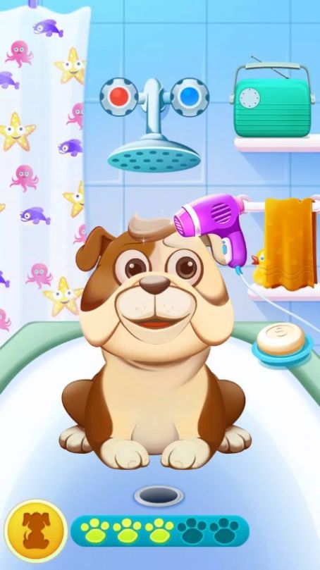 动物护理星空全站手机客户端下载最新版(3)