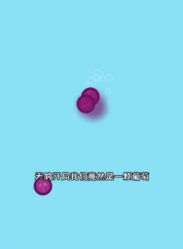 水果樂翻天游戲領(lǐng)紅包最新版圖2