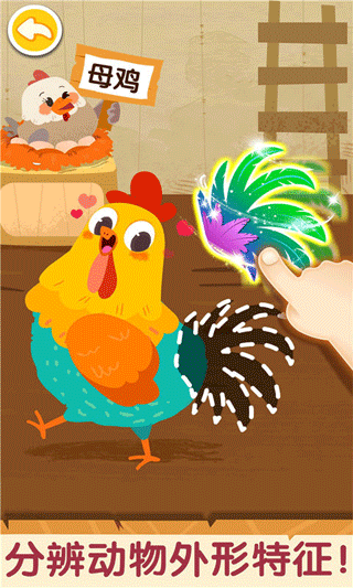 奇妙的动物家庭星空全站手机客户端下载(3)