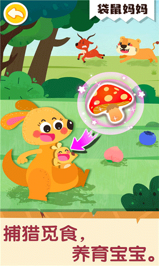 奇妙的动物家庭星空全站手机客户端下载(5)