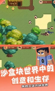 我的工艺方块世界最新版