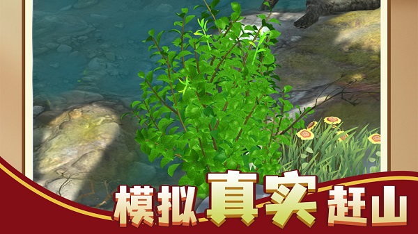 赶山赶海开饭店最新版