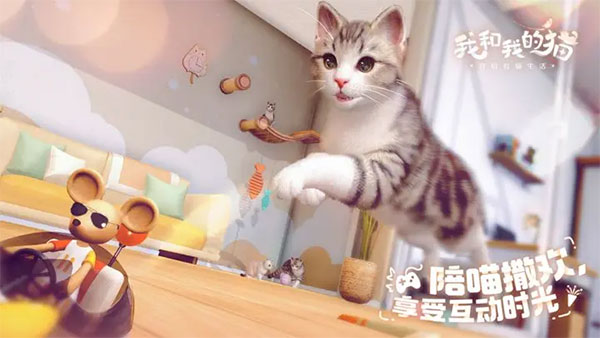 我和我的猫游戏图1