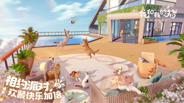 我和我的猫游戏图3