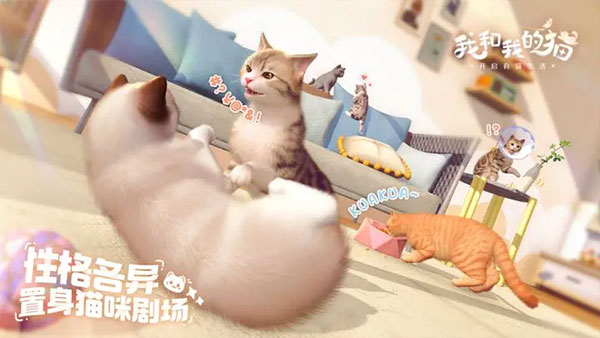 我和我的猫游戏图4