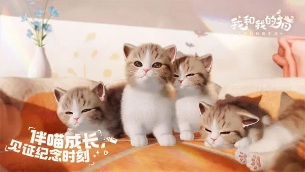 我和我的猫游戏图5