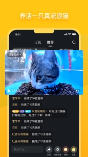 哈啰街猫app官网版图1
