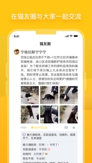 哈啰街猫app官网版图2