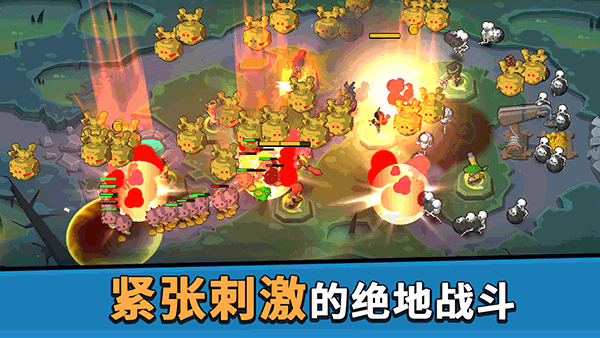 币币骑士图2