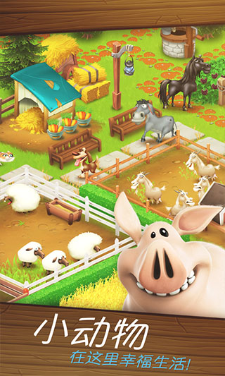 hayday最新图4