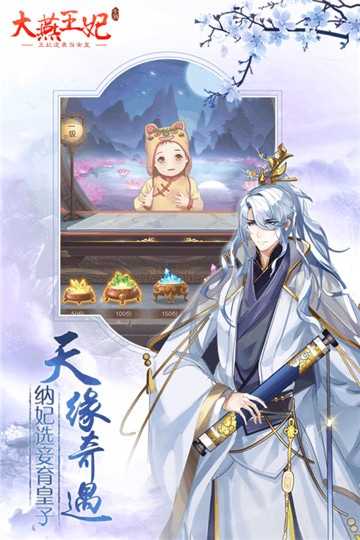 大燕王妃手游图3